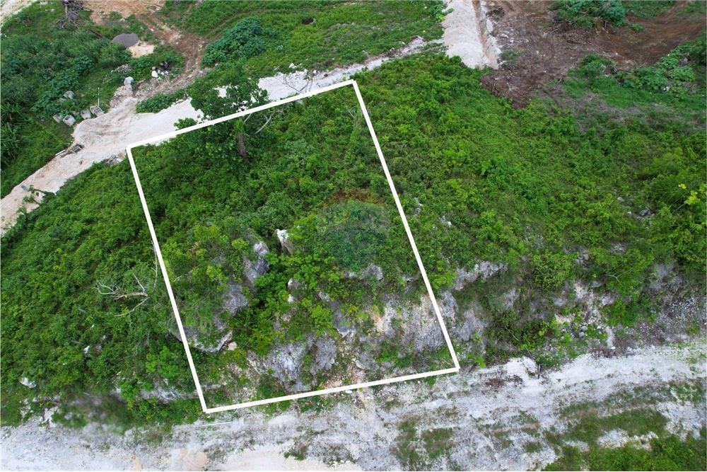 Land - For Sale - Negril, Westmoreland, Jamaica - 4 - 902421019-10