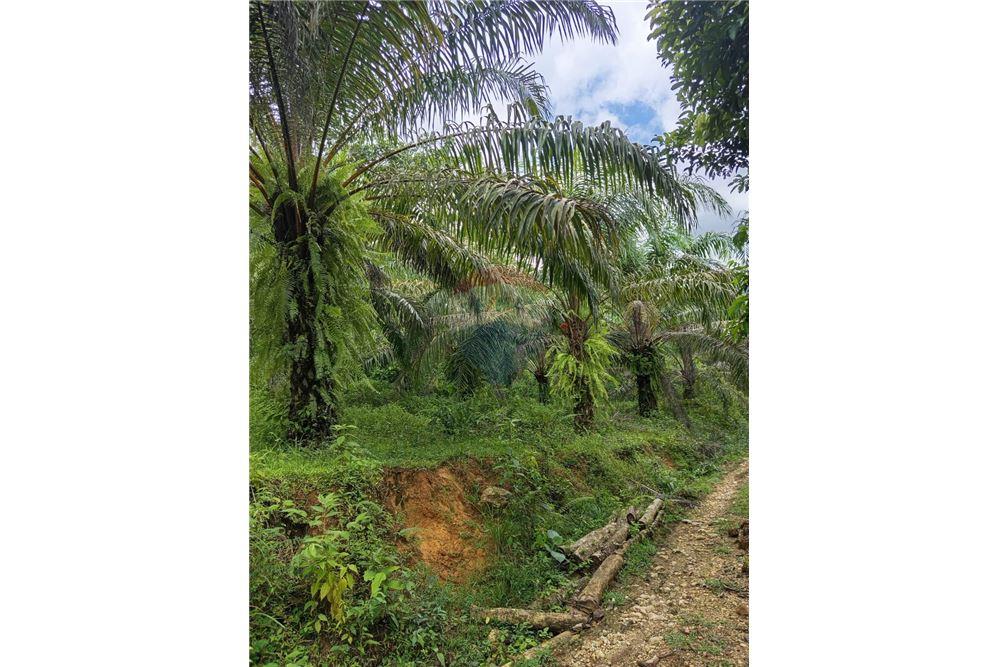 Land - For Sale - Puntarenas, Puntarenas - Puntarenas, Costa Rica - 2 - 902211014-15