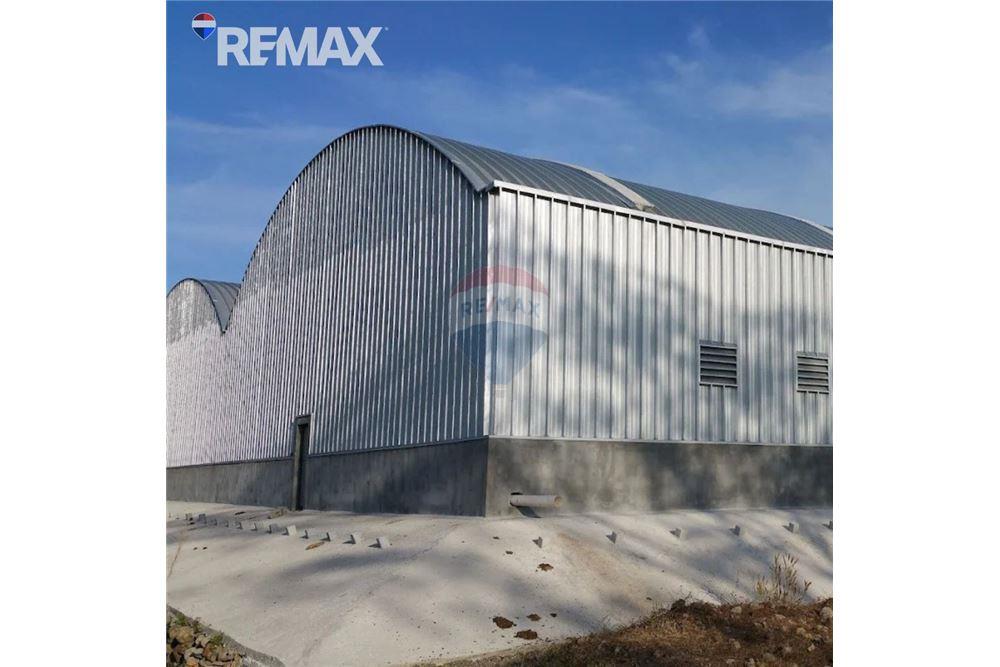 Lote - Venta - Oratorio, Santa Rosa, Guatemala - 5 - 902611005-19