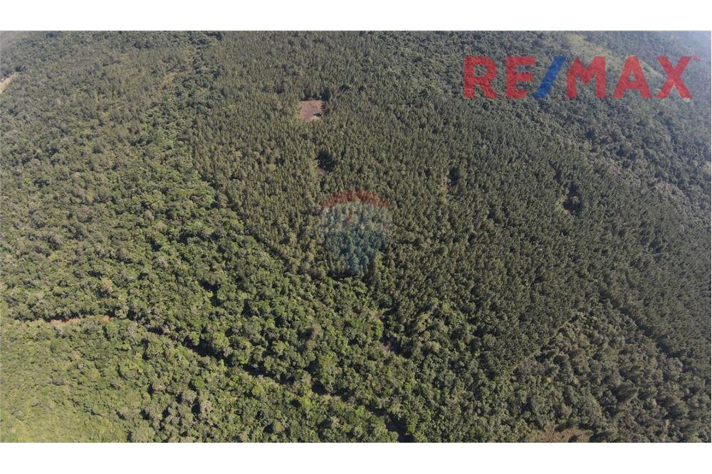 Lote - Venta - Poptún, Petén, Guatemala - 6 - 902691018-30