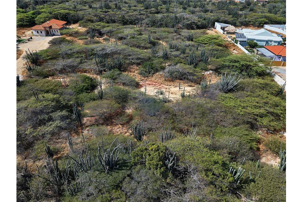 Grondstuk - Te Koop - Santa Cruz, Aruba, Aruba - 14 - 90105005-512