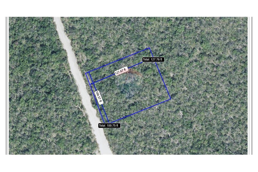 Land - For Sale - Little Cayman East, Little Cayman, Cayman Islands - 2 - 90146010-281