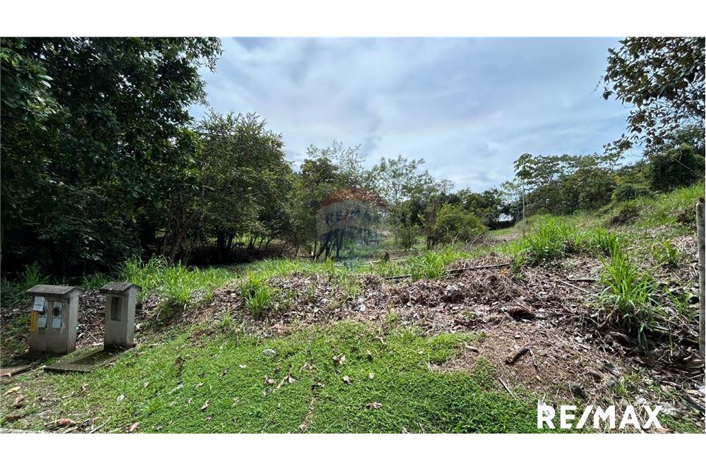 Land - For Sale - Parrita - Esterillos, Puntarenas - Parrita, Costa Rica - 3 - 90168040-29