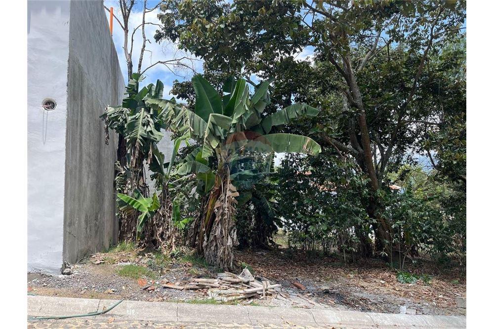 Land - For Sale - Alotenango, Sacatepéquez, Guatemala - 2 - 90129008-156