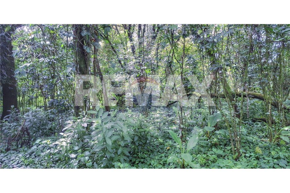 Land - For Sale - Santa Elena Barillas, Guatemala, Guatemala - 14 - 902091017-26