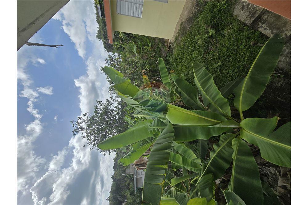 Villa - For Sale - Cayey, Cayey, Puerto Rico - 12 - 90102025-339
