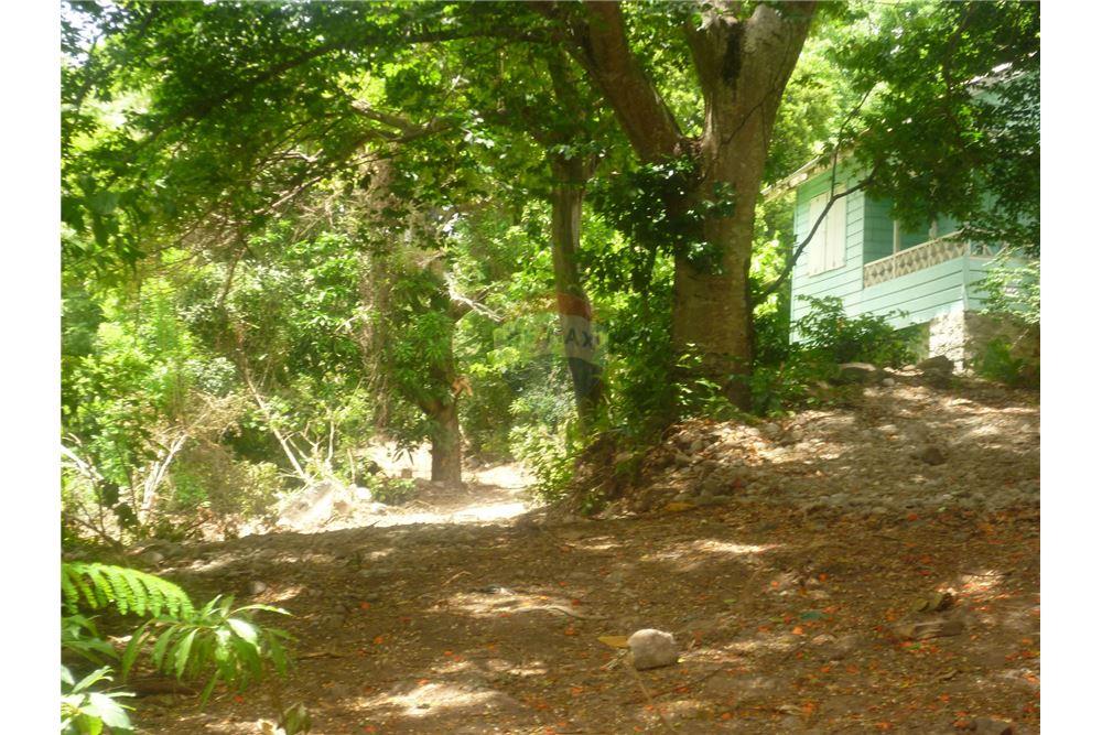 Land - For Sale - Anse La Verdure, Anse-la-Raye, St Lucia - 3 - 902071001-200