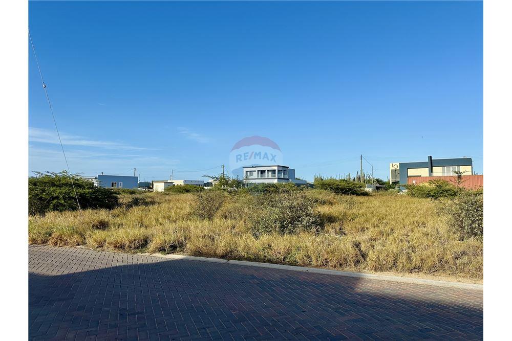Grondstuk - Te Koop - Noord, Aruba, Aruba - 56662 - 90105046-34