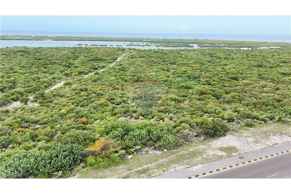 Land - For Sale - North Creek, Grand Turk, Turks and Caicos - 22 - 90111001-82