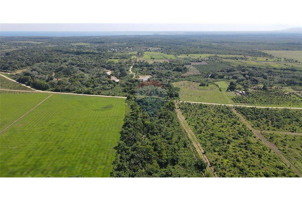 Land - For Sale - Sarawina, Stann Creek District, Belize - 7 - 901911013-58
