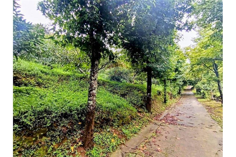 Land - For Sale - Santa Lucía Milpas Altas, Sacatepéquez, Guatemala - 3 - 90129016-42