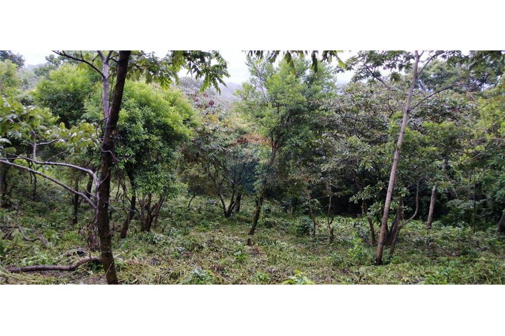 Land - For Sale - Alotenango, Sacatepéquez, Guatemala - 2 - 90129016-25