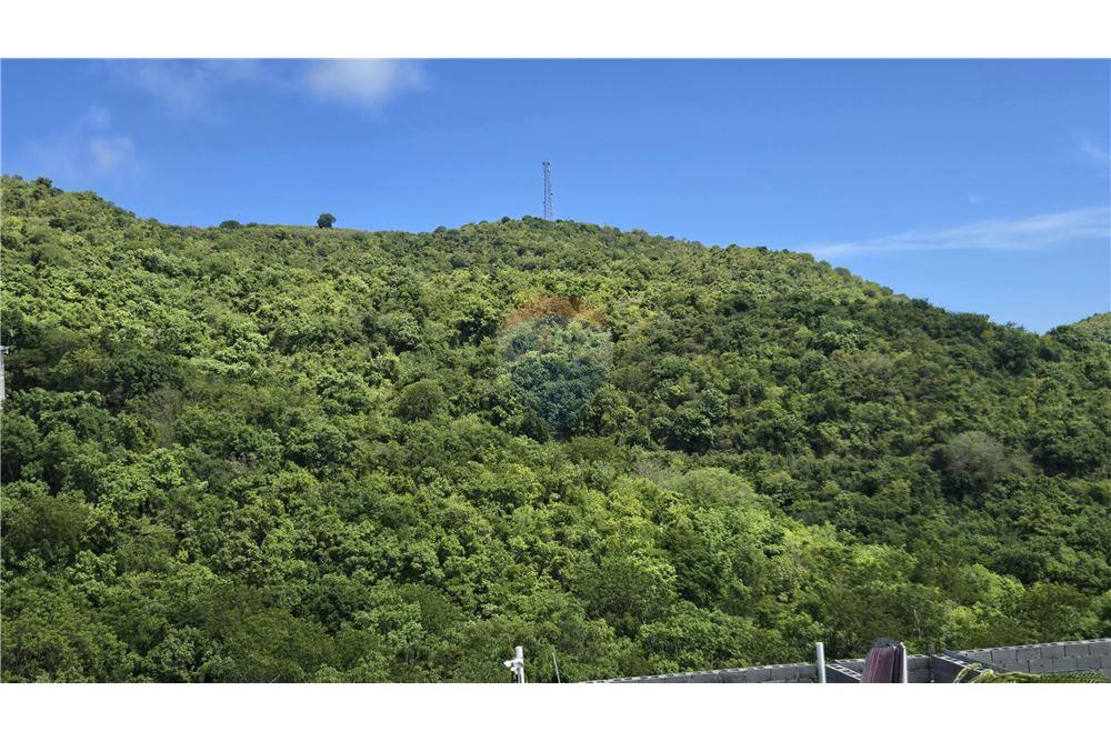 Lote - Venta - Mount Welcome Estate, St Croix, Islas Vírgenes Británicas - 4 - 90123001-1313