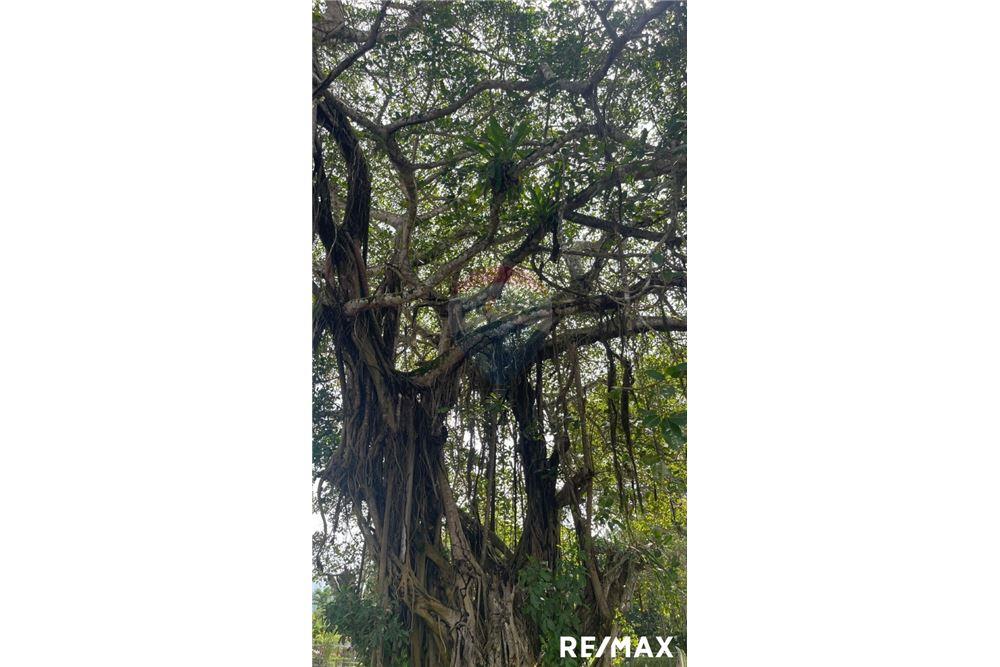 Land - For Sale - Tarcoles - Agujas, Puntarenas- Garabito, Costa Rica - 9 - 90168045-16