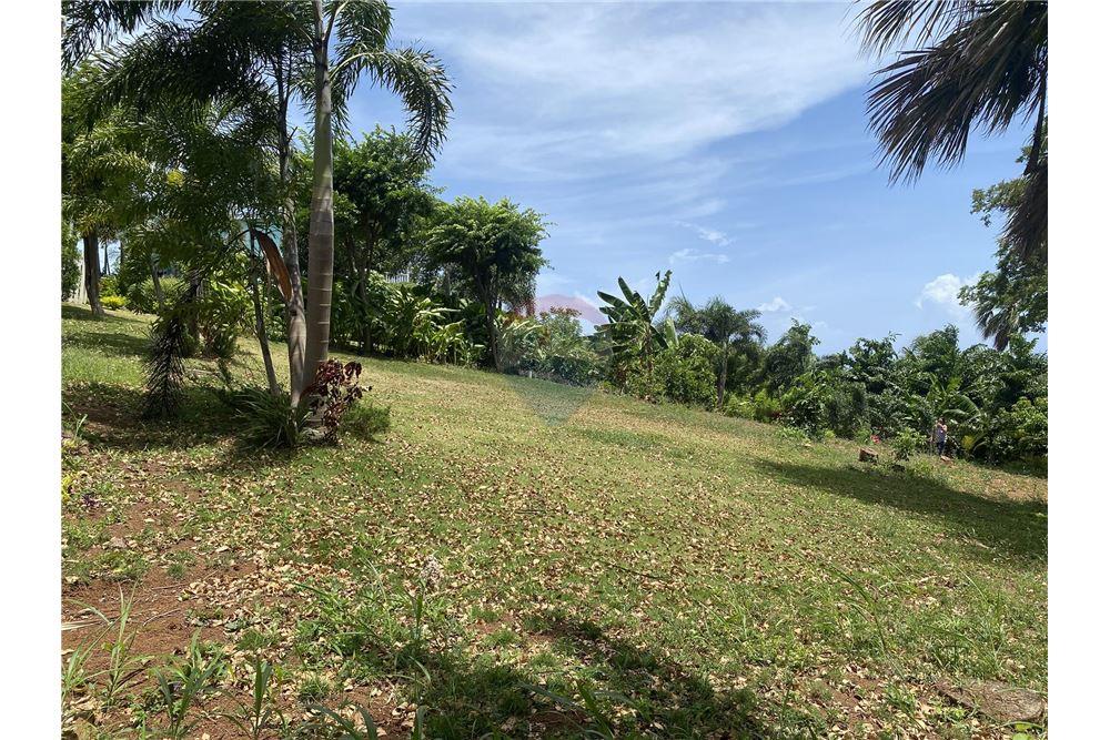 Land - For Sale - Utila, Bay Islands, Honduras - 5 - 90182002-607