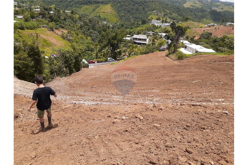 Lote - Venta - Barranquitas, Barranquitas, Puerto Rico - 8 - 90102087-2