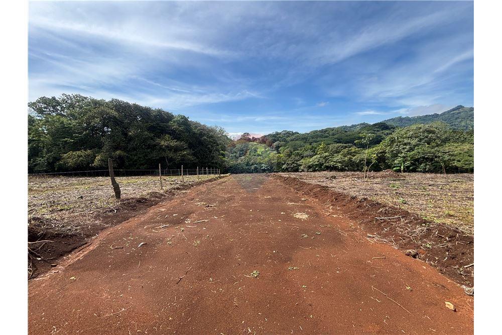 Land - For Sale - Atenas, Alajuela- Atenas, Costa Rica - 20 - 90128002-974