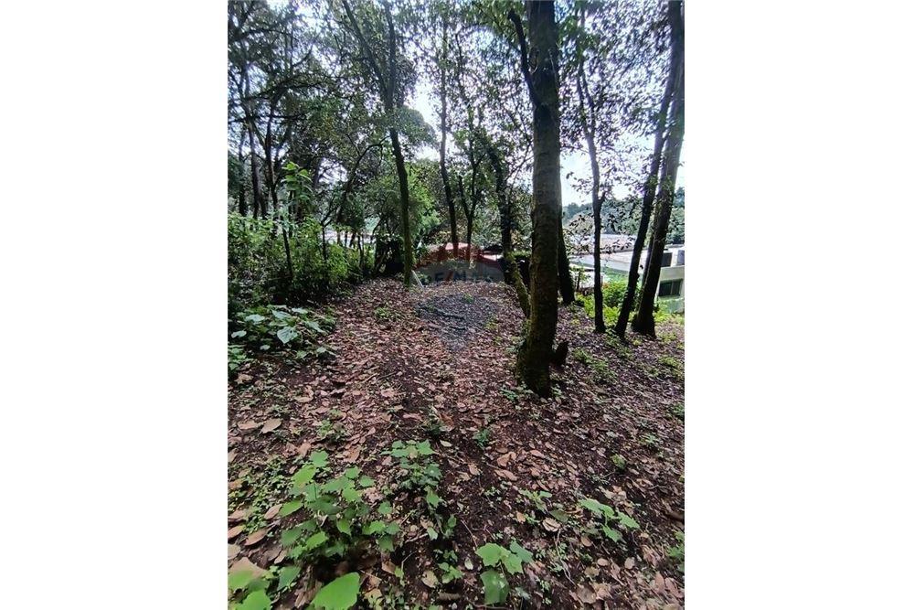 Lote - Venta - San Lucas Sacatepéquez, Sacatepéquez, Guatemala - 2 - 90129016-2