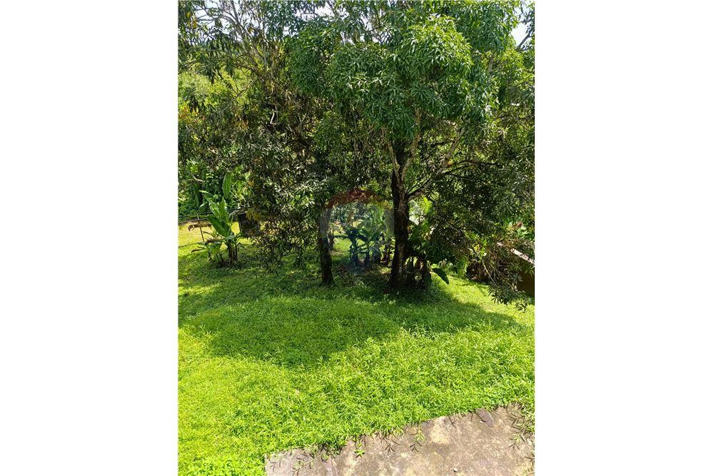 Appartement - Te Koop - Siparia, Saint Patrick, Trinidad and Tobago - 8 - 90155117-98