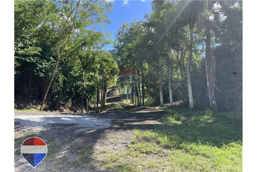 Grondstuk - Te Koop - Theodorine, Anse-la-Raye, St Lucia - 8 - 902071001-196