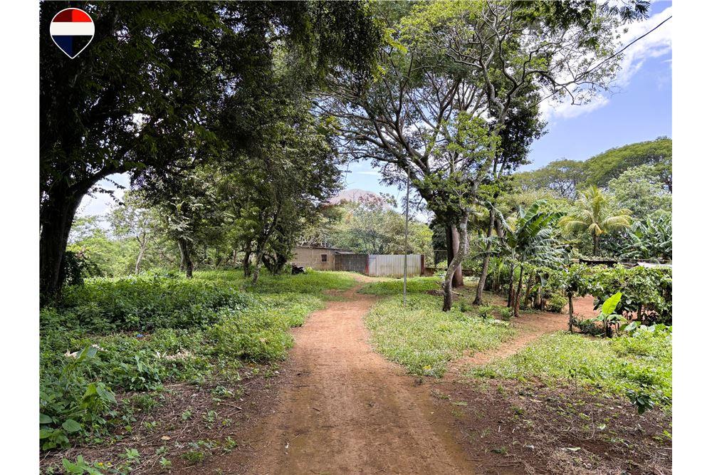 Lote - Venta - Dolores, Carazo, Nicaragua - 7 - 902521001-24