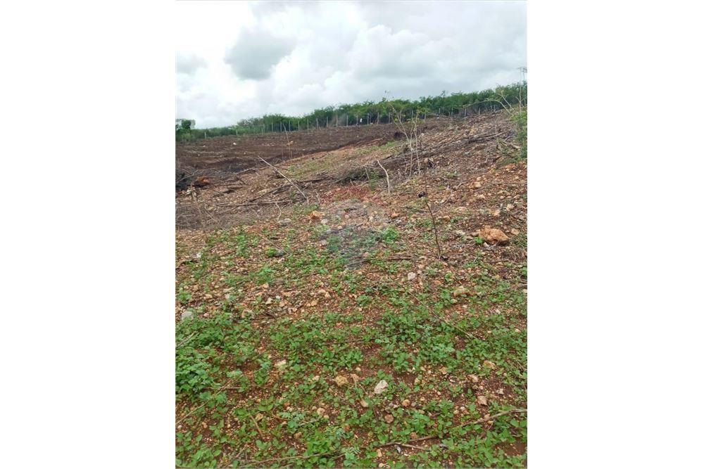 Land - For Sale - Colbeck, Saint Catherine, Jamaica - 1 - 90153034-141