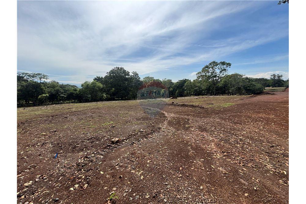 Land - For Sale - Atenas, Alajuela- Atenas, Costa Rica - 31 - 90128002-974