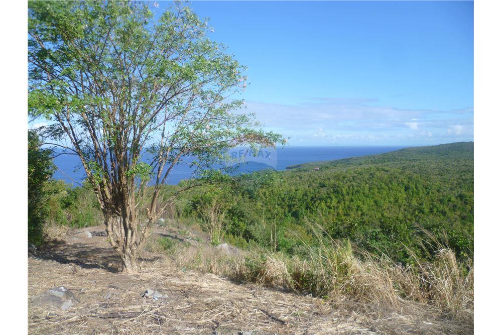 Land - For Sale - Anse La Verdure, Anse-la-Raye, St Lucia - 10 - 902071001-200
