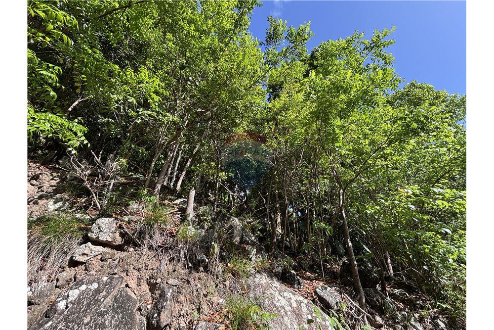 Grondstuk - Te Koop - Windward Side, Saba, Saba - 2 - 90144016-29