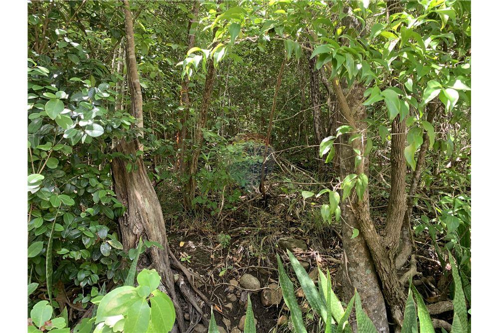Grondstuk - Te Koop - Gros Islet, Gros-Islet, St Lucia - 7 - 902071001-213