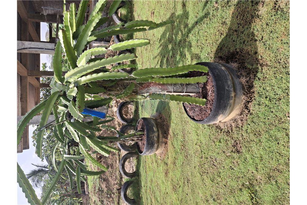 Grondstuk - Te Koop - Sangre Chiquita, Saint Andrew, Trinidad and Tobago - 6 - 90155092-76