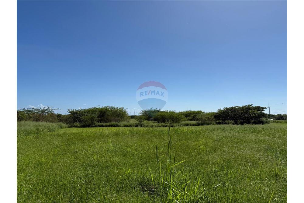 Land - For Sale - Santa Isabel, Santa Isabel, Puerto Rico - 10 - 90102054-25