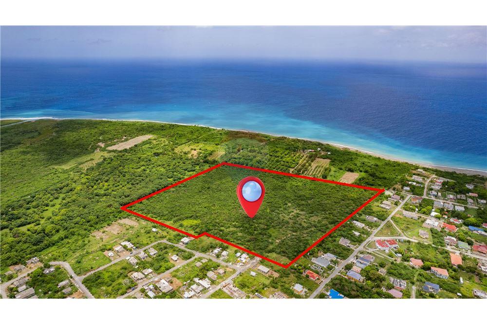 Land - For Sale - Albion, Saint Thomas, Jamaica - 2 - 90153043-151