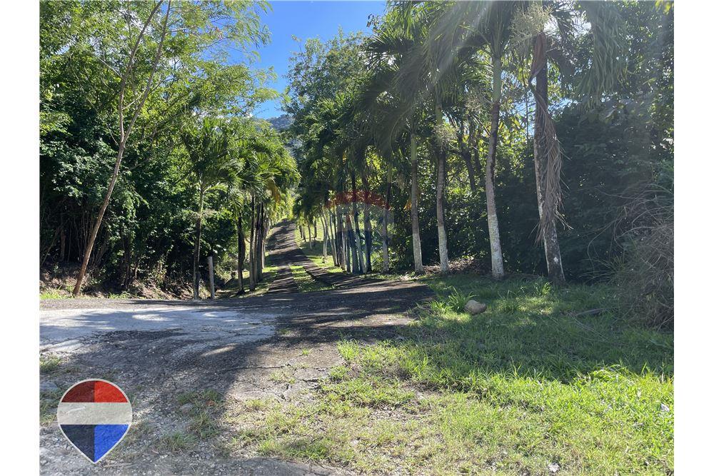 Grondstuk - Te Koop - Theodorine, Anse-la-Raye, St Lucia - 3 - 902071001-196