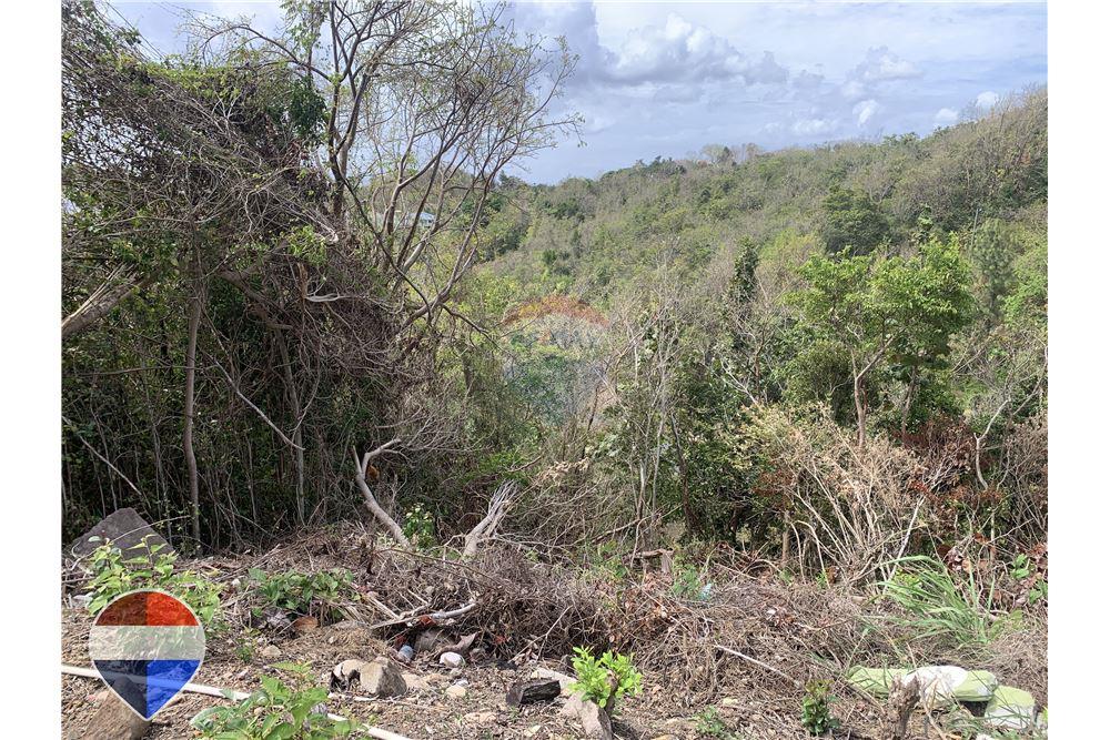 Grondstuk - Te Koop - Anse La Raye, Anse-la-Raye, St Lucia - 10 - 902071001-195