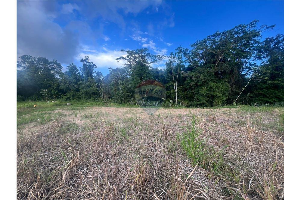 Grondstuk - Te Koop - Sangre Grande, Saint Andrew, Trinidad and Tobago - 4 - 90155092-96