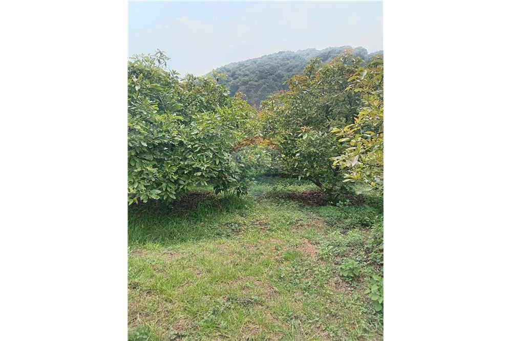 Land - For Sale - Santiago Sacatepéquez, Sacatepéquez, Guatemala - 3 - 902091002-88