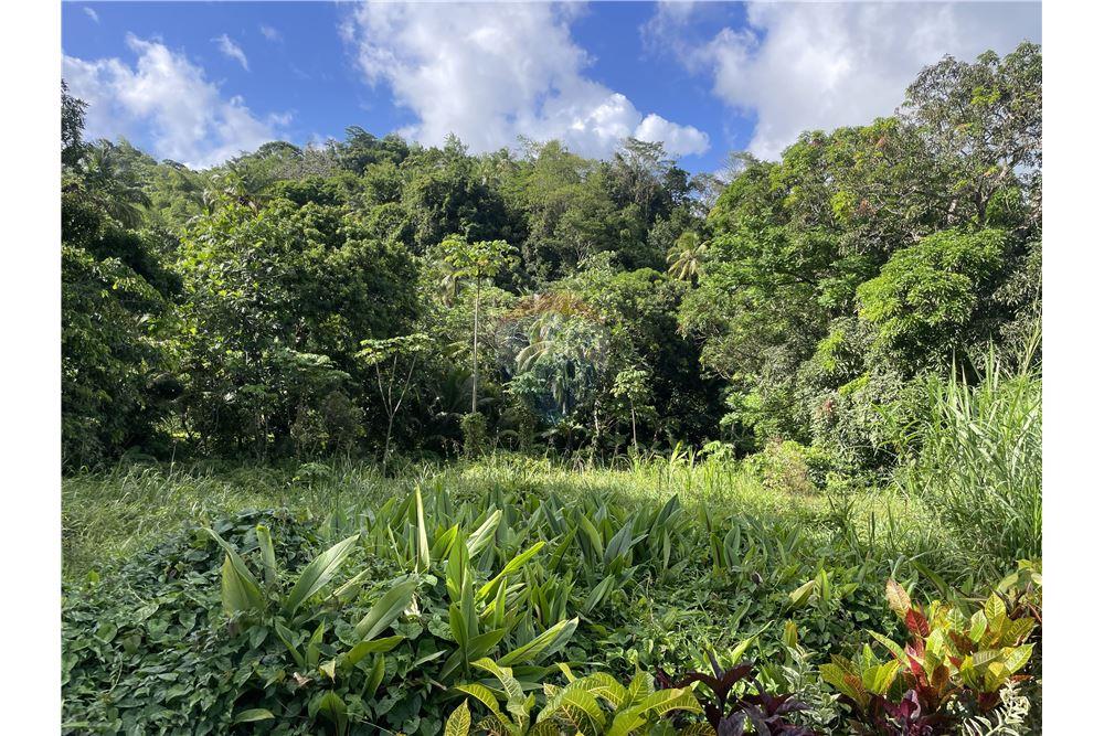 Land - For Sale - Bexon, Castries, St Lucia - 4 - 902071001-203