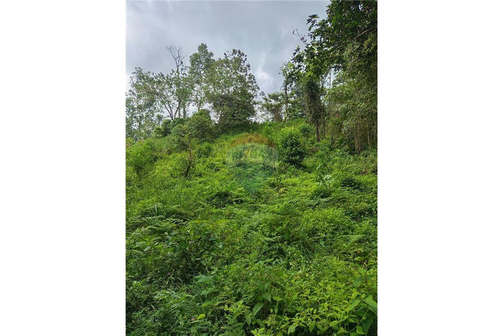 Land - For Sale - Puntarenas, Puntarenas - Puntarenas, Costa Rica - 4 - 902211014-15
