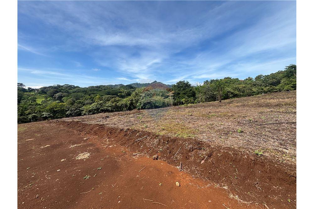 Land - For Sale - Atenas, Alajuela- Atenas, Costa Rica - 19 - 90128002-974