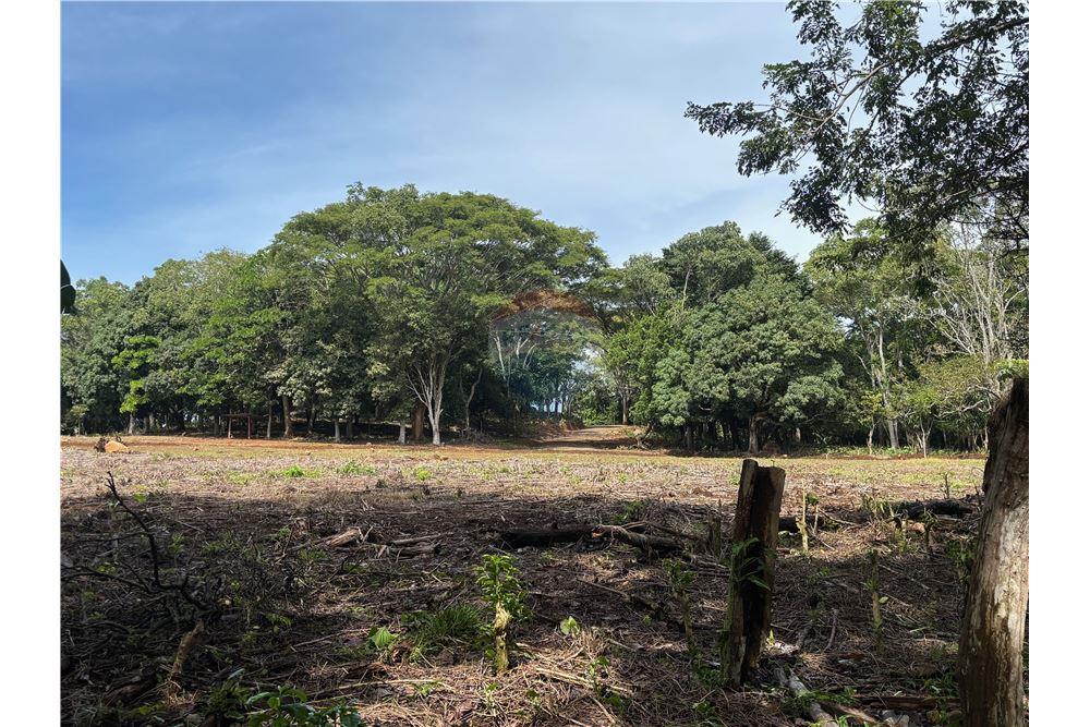 Land - For Sale - Atenas, Alajuela- Atenas, Costa Rica - 16 - 90128002-974