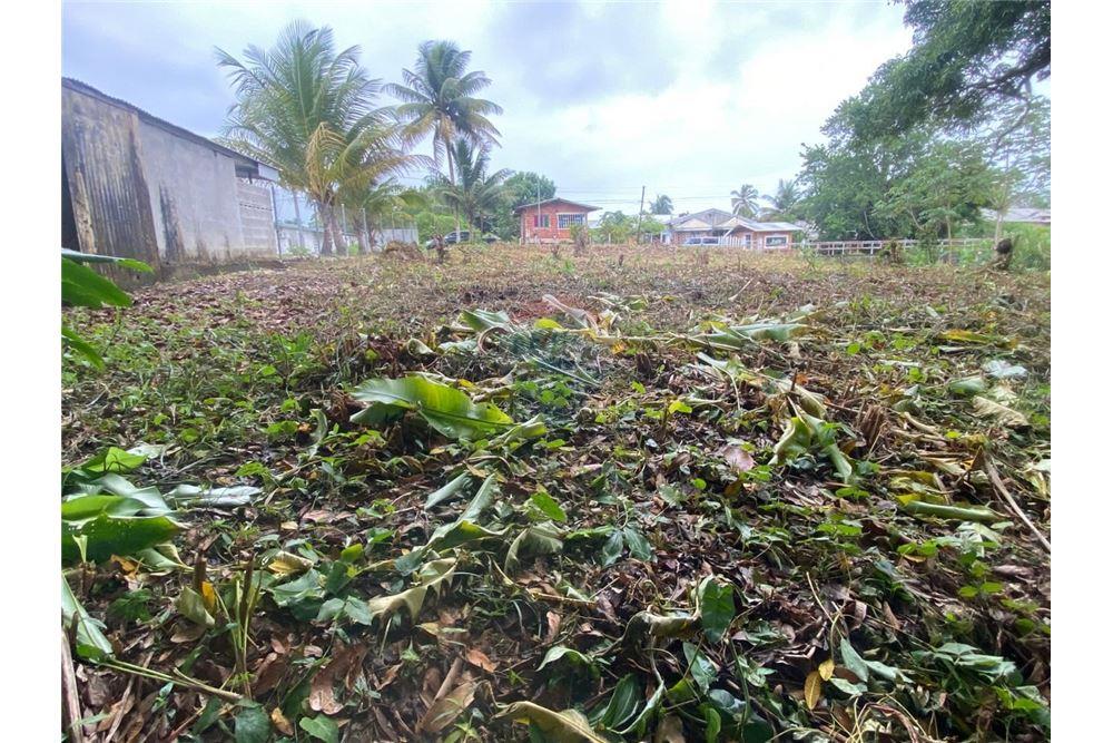 Lote - Venta - Sangre Grande, Saint Andrew, Trinidad and Tobago - 9 - 90155109-184