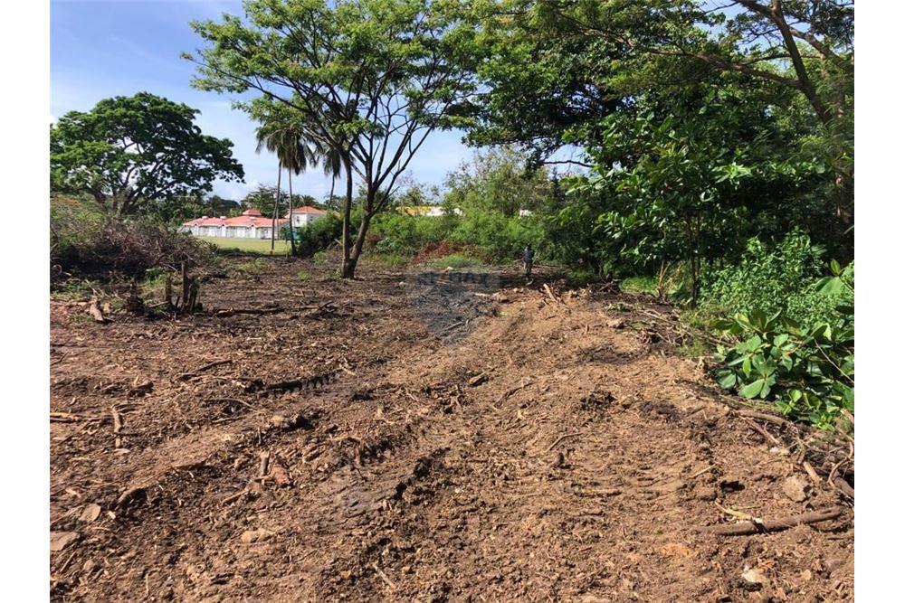 Land - For Sale - Arouca, Saint George, Trinidad and Tobago - 10 - 902551005-1