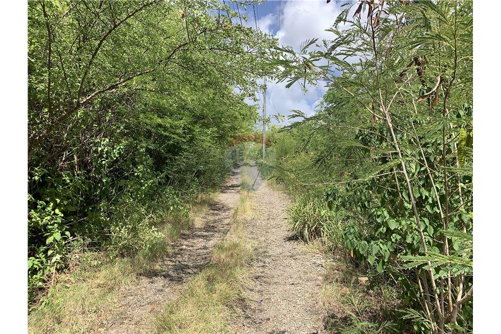 Grondstuk - Te Koop - Gros Islet, Gros-Islet, St Lucia - 3 - 902071001-213