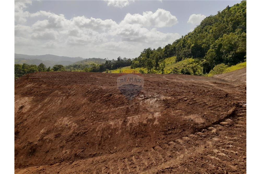 Lote - Venta - Barranquitas, Barranquitas, Puerto Rico - 7 - 90102087-2