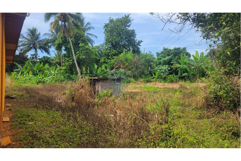 Villa - Te Koop - Watermount, Saint Catherine, Jamaica - 13 - 90153044-722