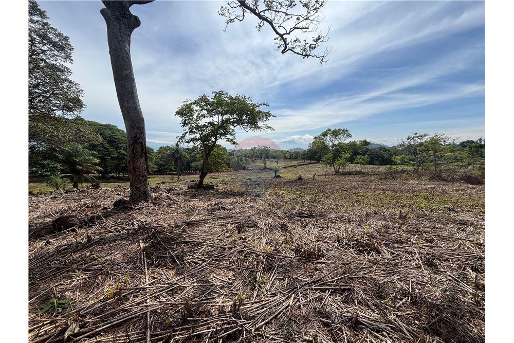 Land - For Sale - Atenas, Alajuela- Atenas, Costa Rica - 9 - 90128002-974
