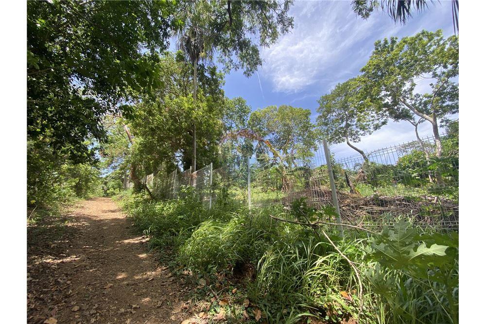 Land - For Sale - Utila, Bay Islands, Honduras - 7 - 90182002-606
