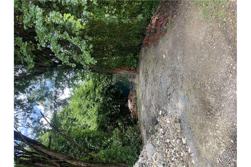 Grondstuk - Te Koop - Marisule Estate, Gros-Islet, St Lucia - 4 - 902071001-207