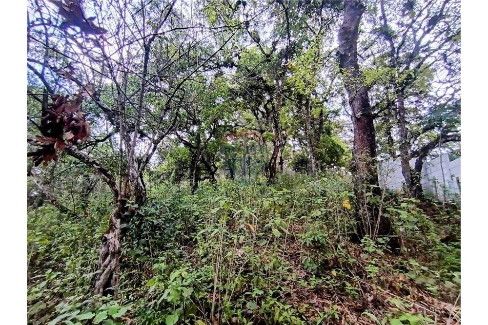 Land - For Sale - La Antigua Guatemala, Sacatepéquez, Guatemala - 3 - 90129016-50